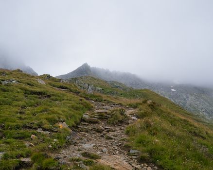 Green Grass Field Near Mountain Under White Sky