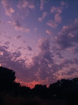Captivating purple and orange sunset with silhouetted trees in Ialysos, Greece.