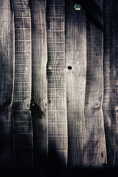 Free stock photo of wood Stock Photo