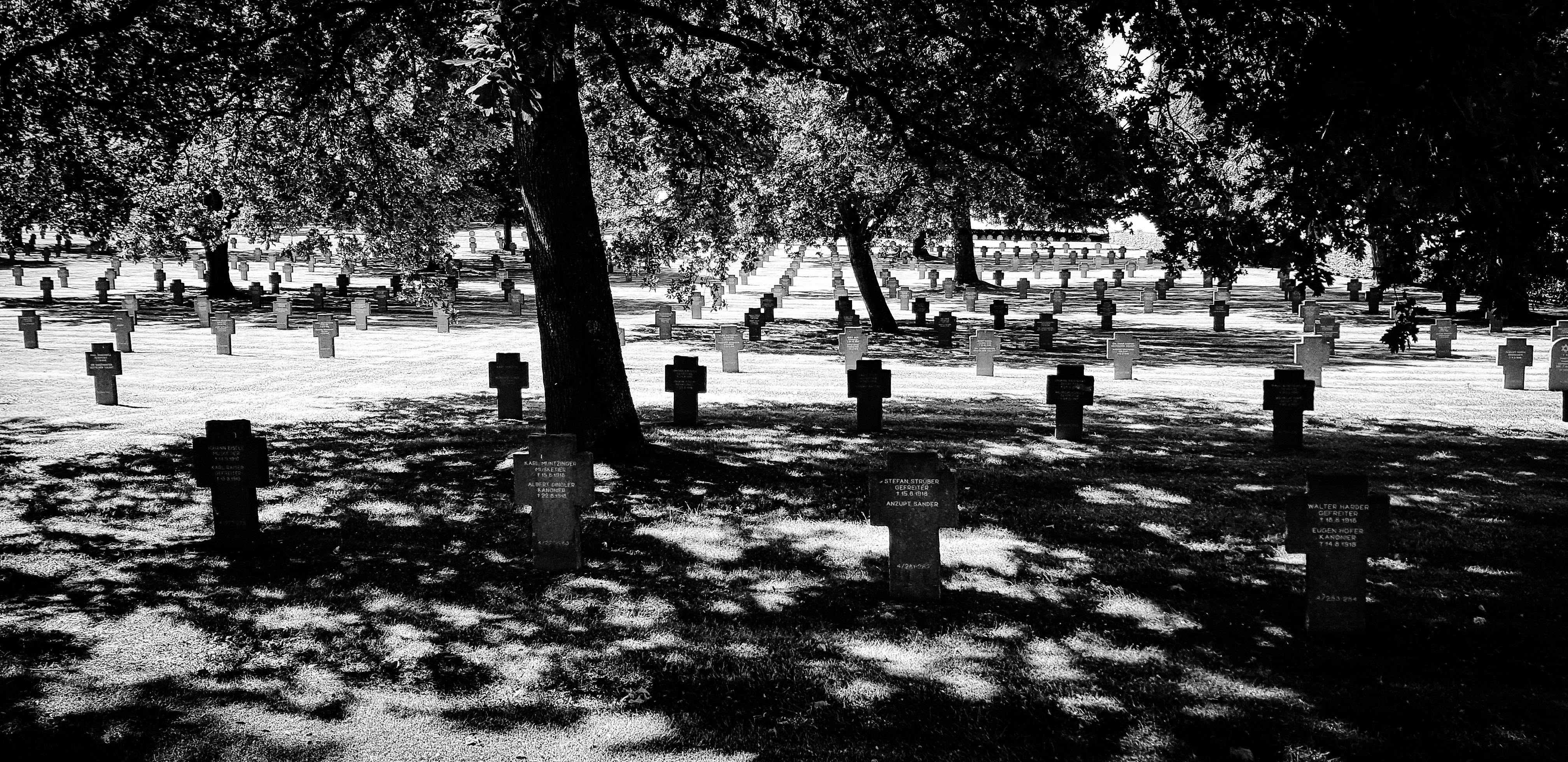 Free stock photo of cemetery, fallen soldiers, france