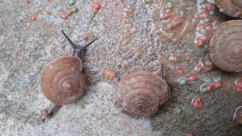 Modern gumiszerviz eszközök mobil gumis Budapest 1 kerület
