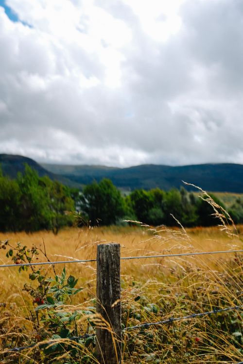Free Idyllic countryside landscape with lush grass field and distant mountains under a partly cloudy sky. Stock Photo