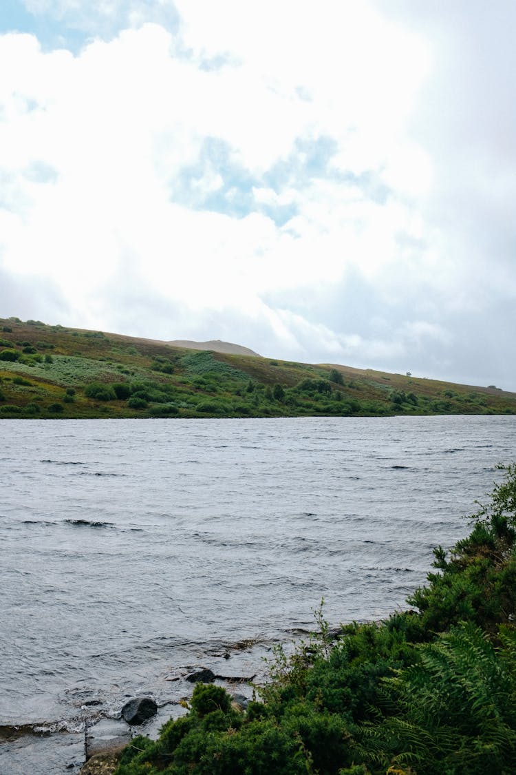 Water Flowing In The River