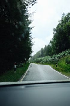Empty curved road through dense green forest on a rainy day.