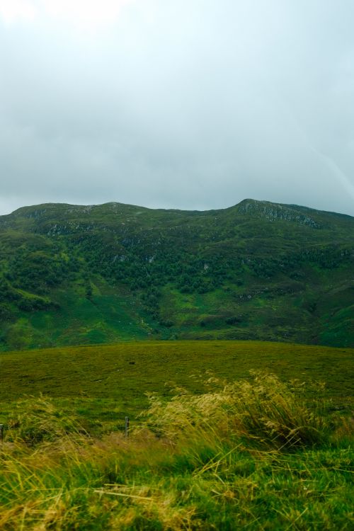 Free A verdant mountain landscape with rich green grass under an overcast sky, ideal for natural scenery concepts. Stock Photo