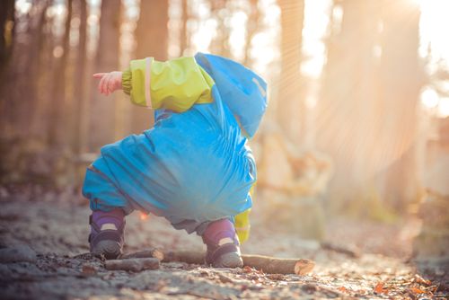 Free A young child exploring a sunlit forest in a vibrant blue and green raincoat. Stock Photo