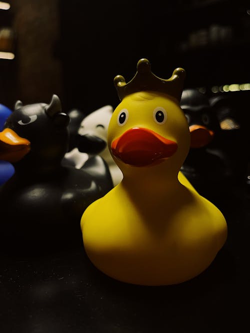 Free stock photo of duck, rubber duck, rubber ducks