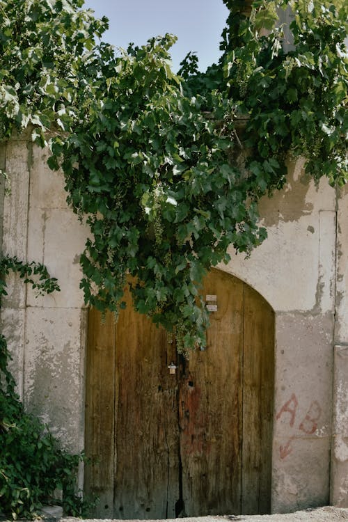 Foto stok gratis gerbang masuk, panjat tebing, pintu kayu