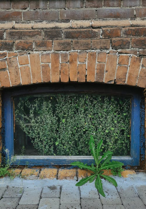 Foto profissional grátis de aparência, calçada, calçadas