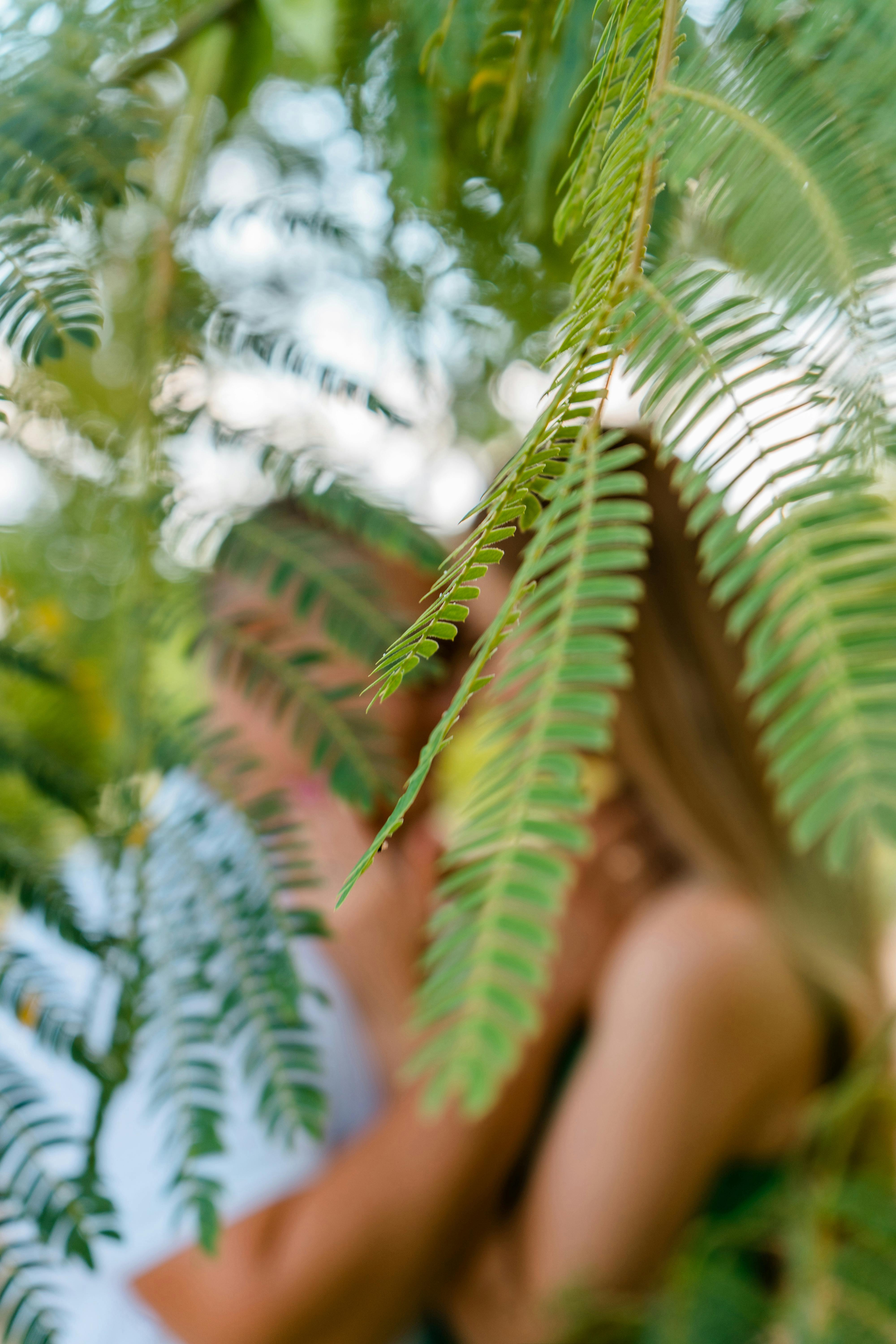Intimate moment of a couple kissing, captured through lush fern foliage in a summer outdoor setting.