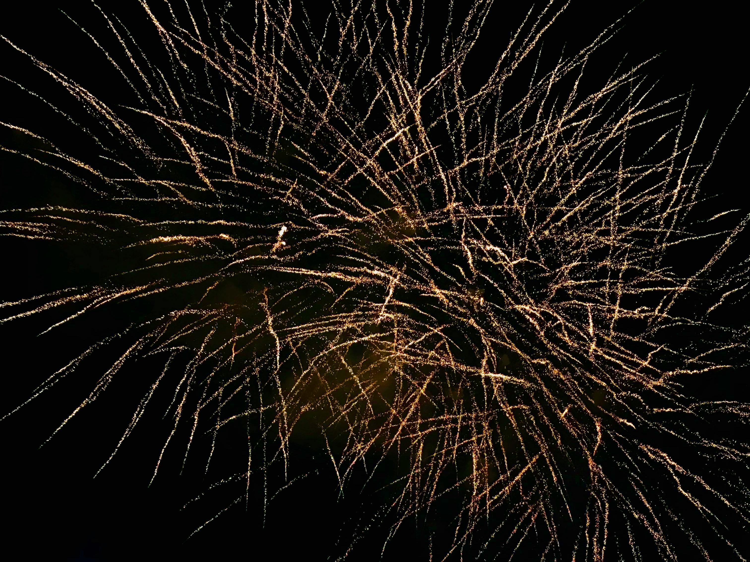 Photo Gratuite De Dore Feu Feu D Artifice