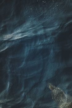 Overhead shot of a turtle swimming in deep blue water, showcasing its natural habitat.