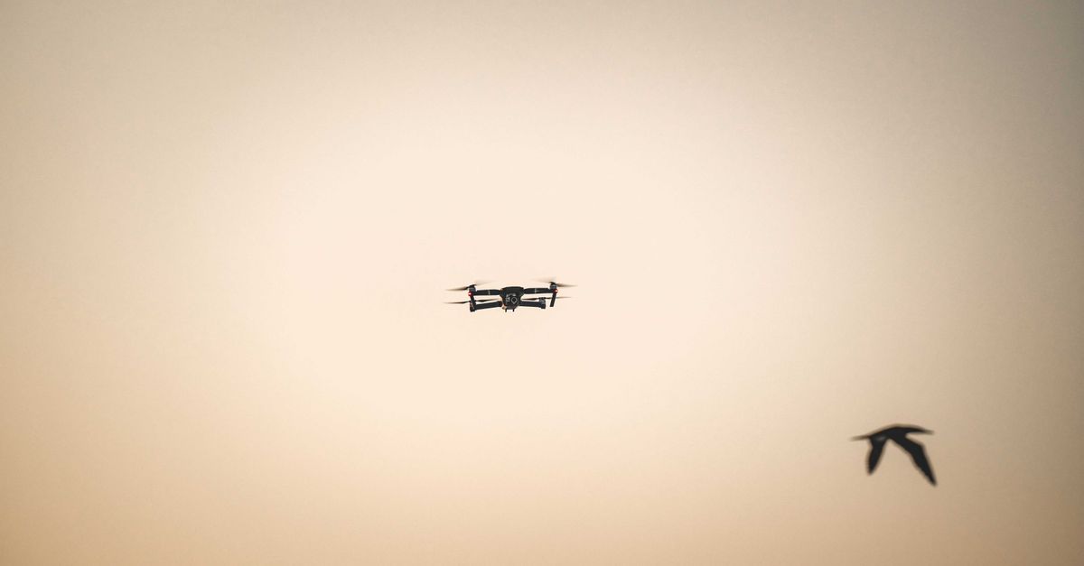 A silhouette of a drone flying alongside a bird in the warm twilight sky.
