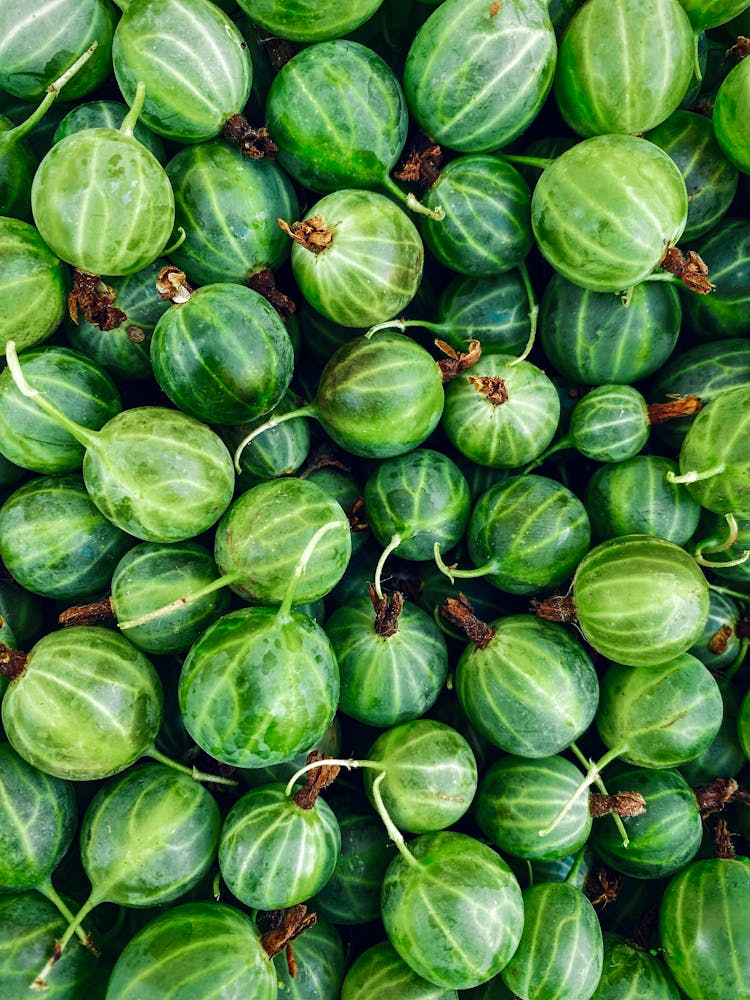 Photo Of Unripe Gooseberries