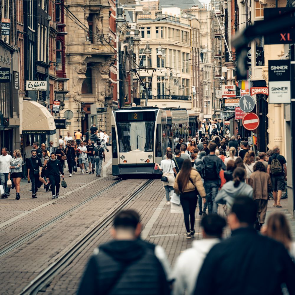 European Removals — removal van and movers on moving day