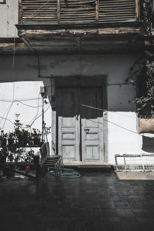 Potted Plants outside a House