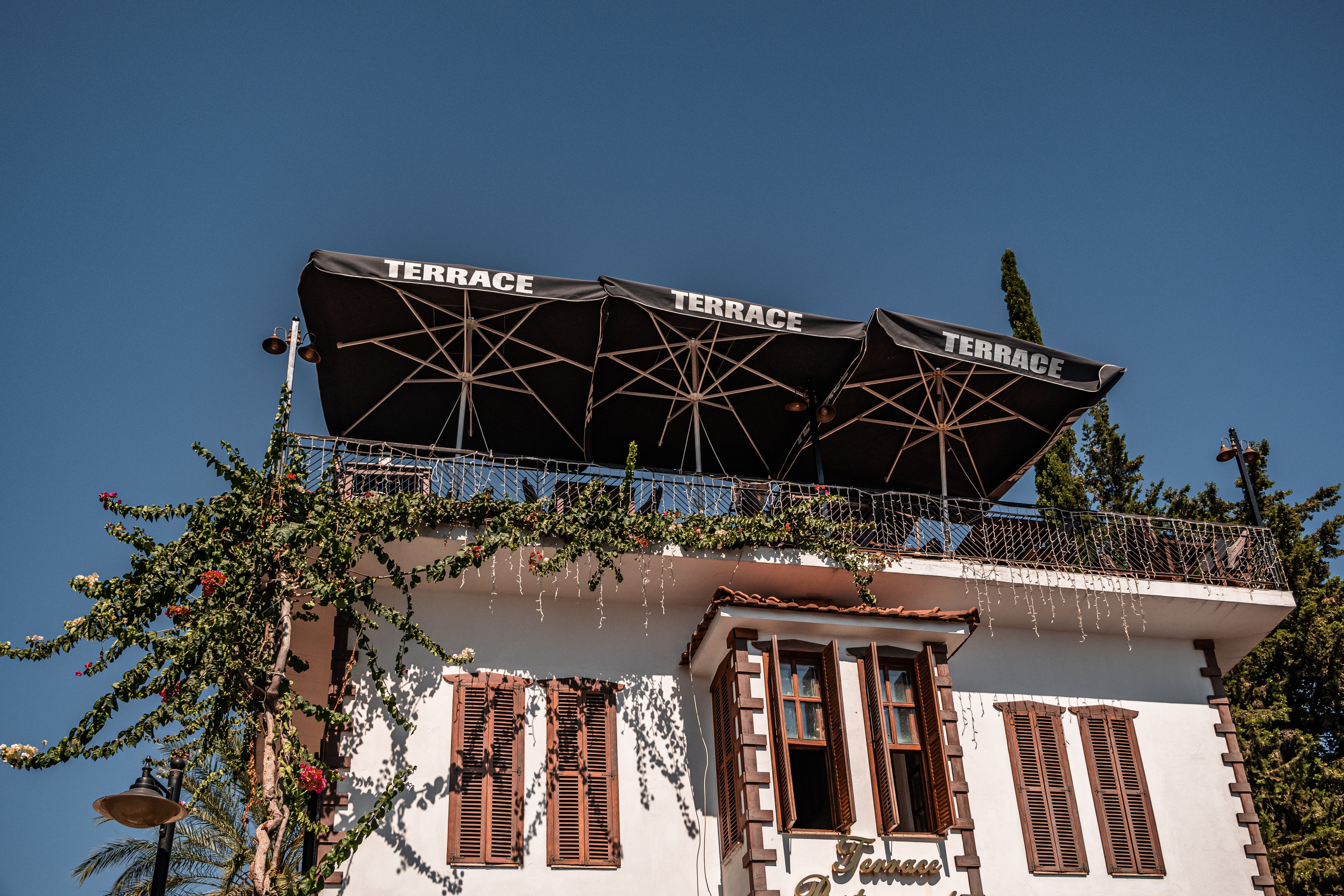 Outdoor-System Terrace 250