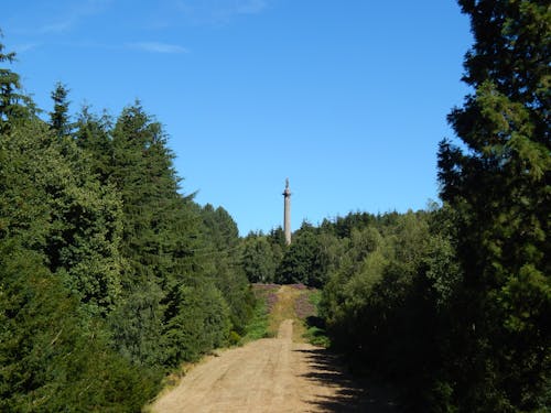 A Concrete Tower Near Green Trees Under Blue Sky