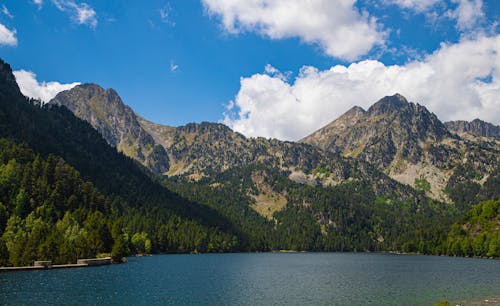 Foto profissional grátis de árvores, cenário, floresta