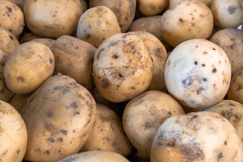 Pile of Potatoes Close-Up Photo