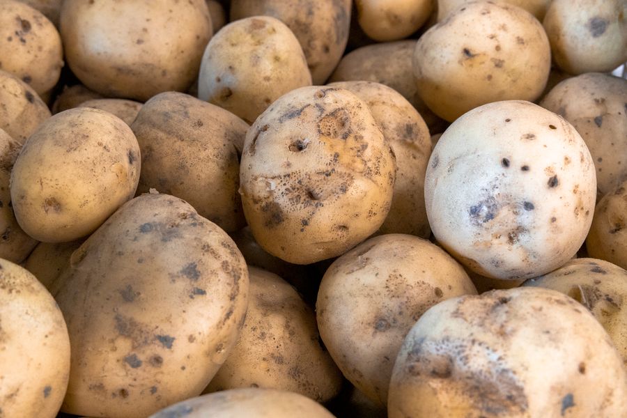 Potatoes