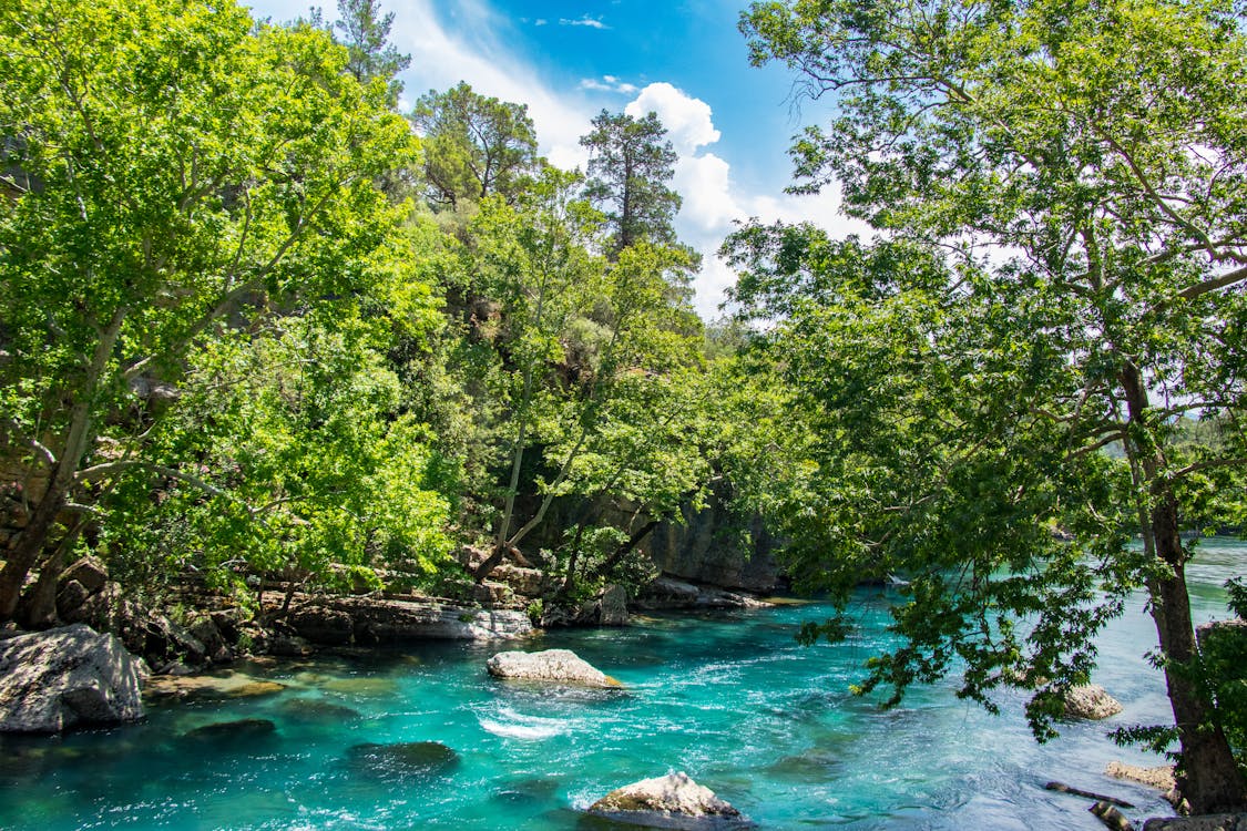 A Blue Watered River Near Green Trees and Rocks Under Blue Sky · Free ...