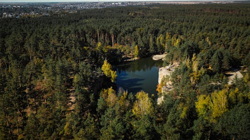 Fotobanka s bezplatnými fotkami na tému les, príroda, scenéria