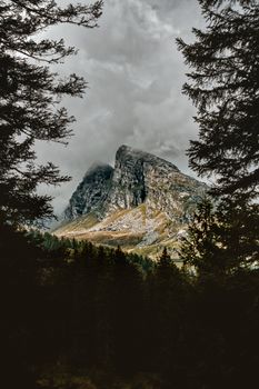 Majestic mountain landscape framed by trees under overcast skies.