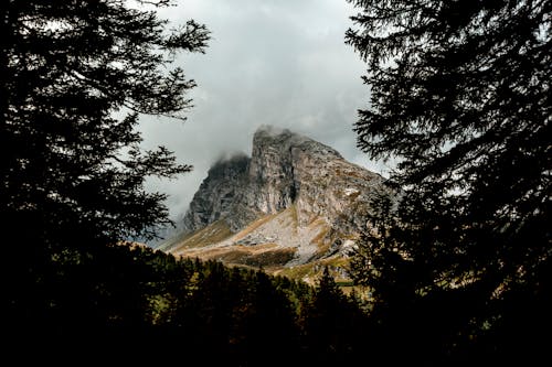 A Mountain between Two Trees