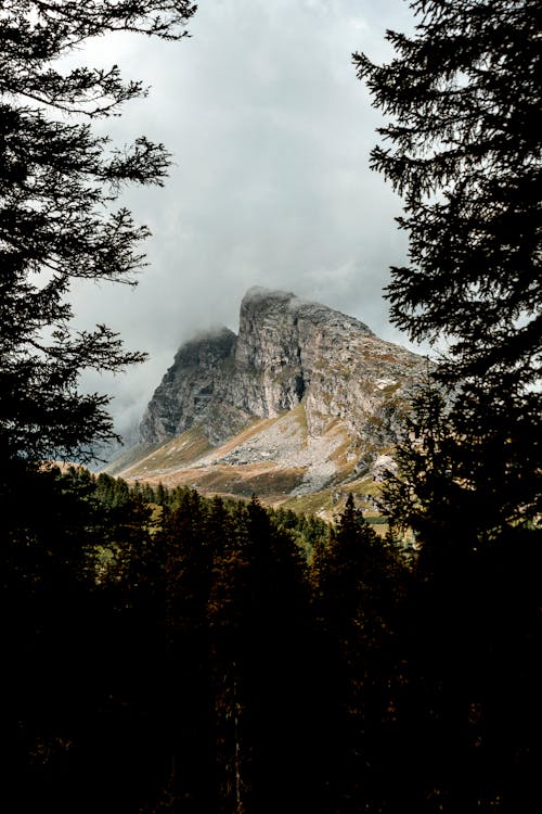 Scenic View of a Mountain