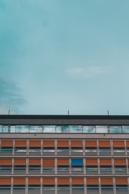 Exterior Glass Windows Design of a Building · Free Stock Photo