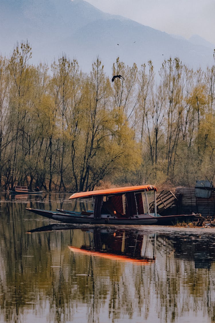 Shikara In Nigeen Lake