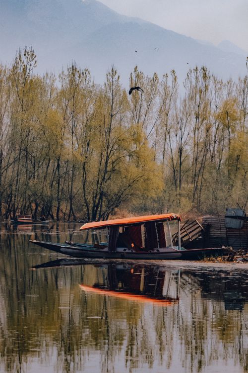 Free A serene autumn scene featuring a traditional boat and reflections in Srinagar, Kashmir. Stock Photo