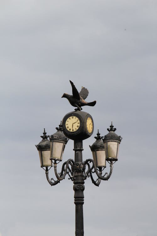 Immagine gratuita di cielo grigio, luci stradali, orologio