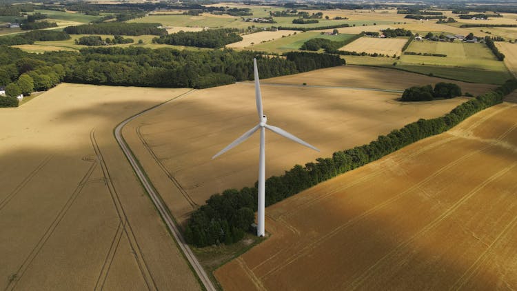 Wind Turbine In Denmark