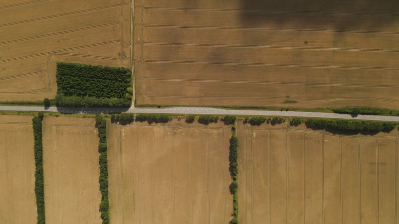Aerial view of croplands and a single access road — photo by Gabriel MHG on Pexels