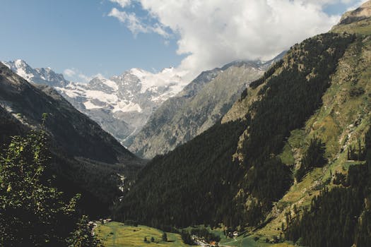 Breathtaking view of the Valsavarenche valley with majestic mountains and lush green forests.