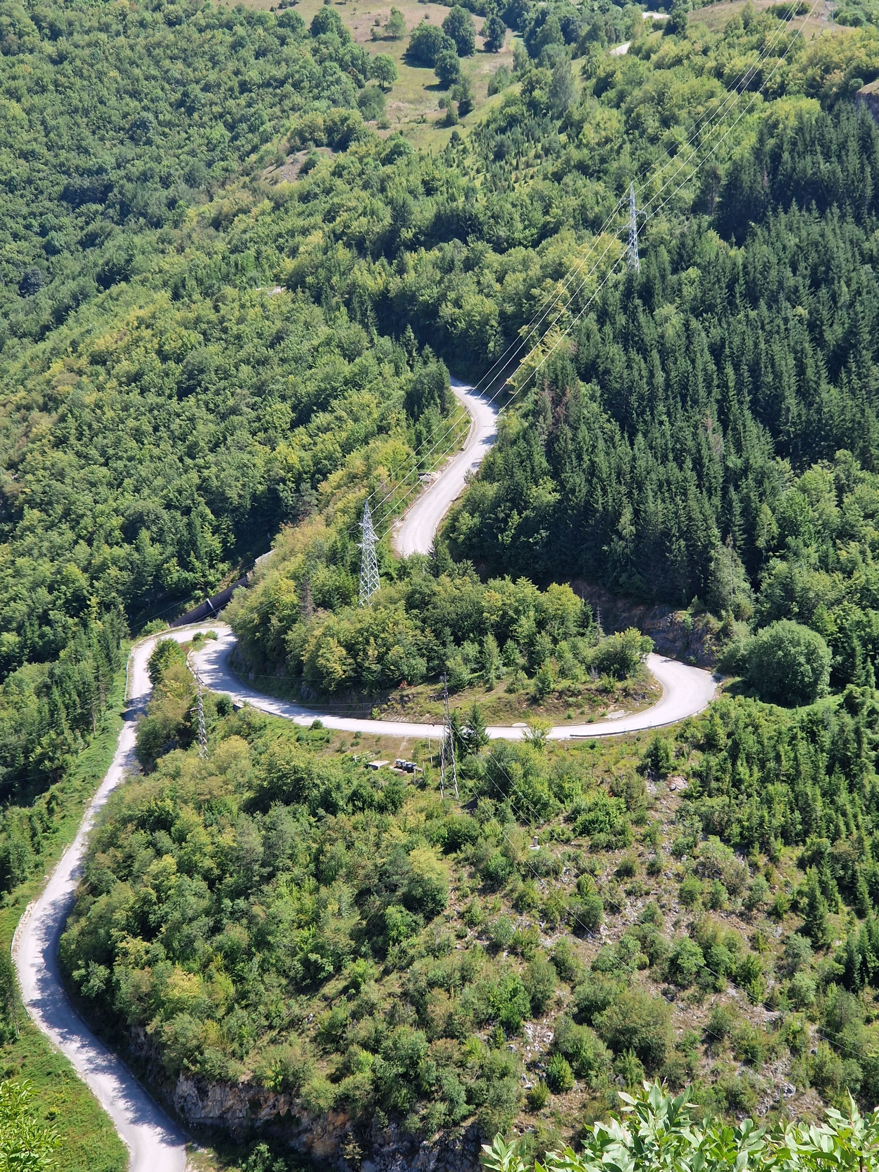 Aerial View of Green Trees on the Mountain · Free Stock Photo