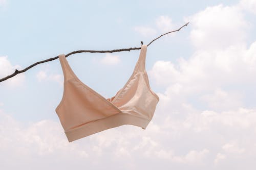 Pink Bra Hanging on Tree Branch