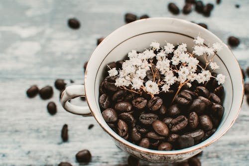 無料 フォーカス写真に白い花とマグカップのコーヒー豆 写真素材