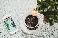 在大理石桌子上，放一杯烘焙咖啡豆、一盆植物和一部智能手机，平躺下来欣赏这美观的景象