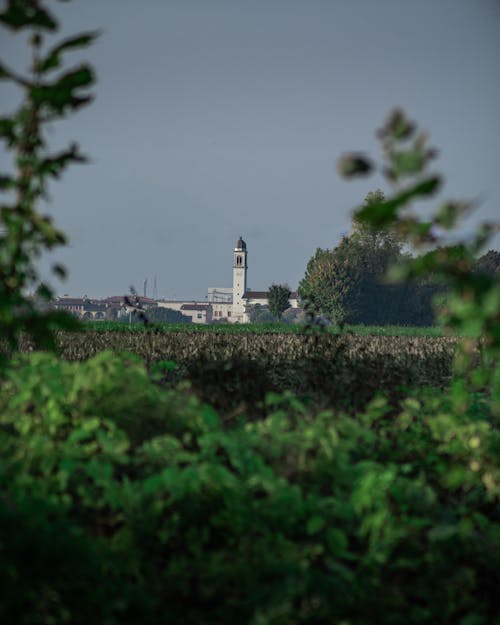 Kostnadsfri bild av @utomhus, 4k tapeter, dimmigt landskap