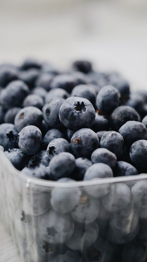 Close-up of Fresh Blueberries in Box