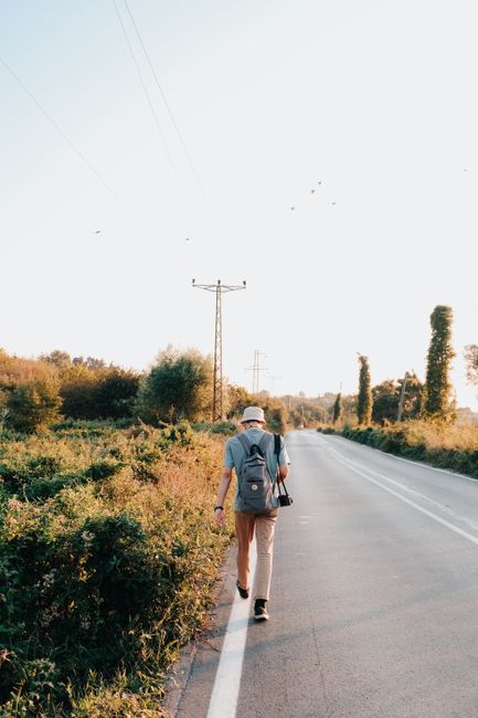 A person walking alone on a rural road surrounded by greenery and power lines at sunset.