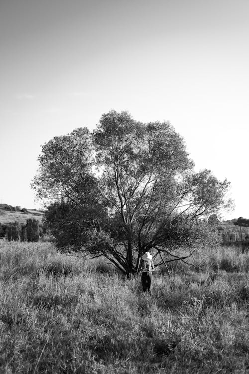 Grayscale Photo a Tree on Grassland
