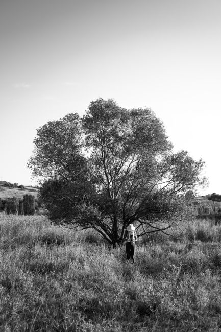 A lone figure stands beneath a tree in a serene countryside landscape.