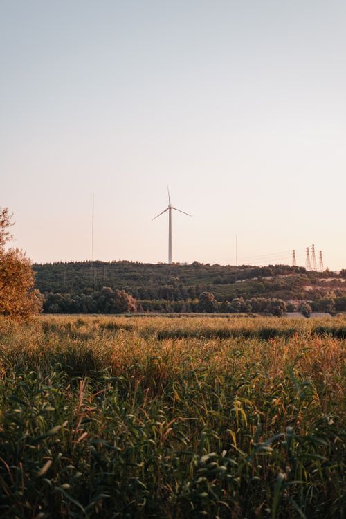Free Wind turbine standing tall amidst a serene grass field and green trees during sunset, under a clear sky. Stock Photo
