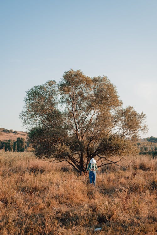 Person Standing on Brown Grass Near Brown Tree 