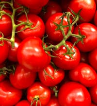 Organic certification