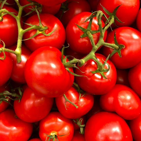 Fermented Tomatoes